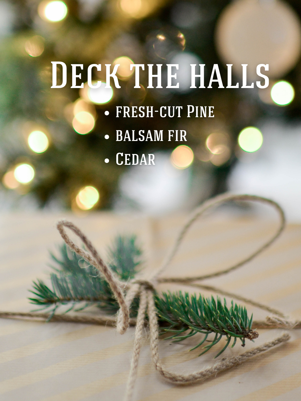Deck The Halls Soy Candle: Fresh-Cut Pine, Juniper Berries, Cedar