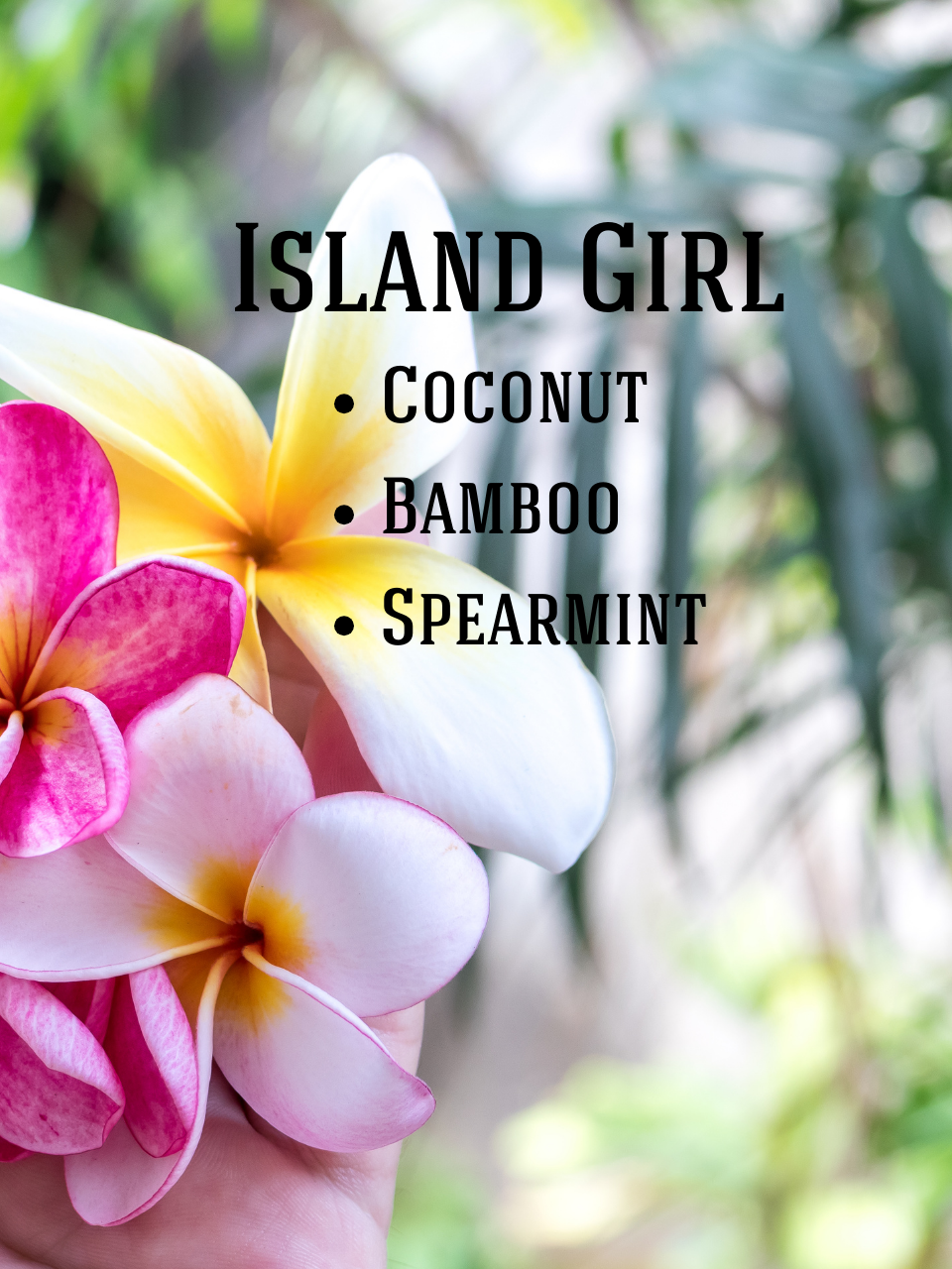 NEW! Island Girl Soy Candle: Toasted Coconut, Bamboo, Spearmint