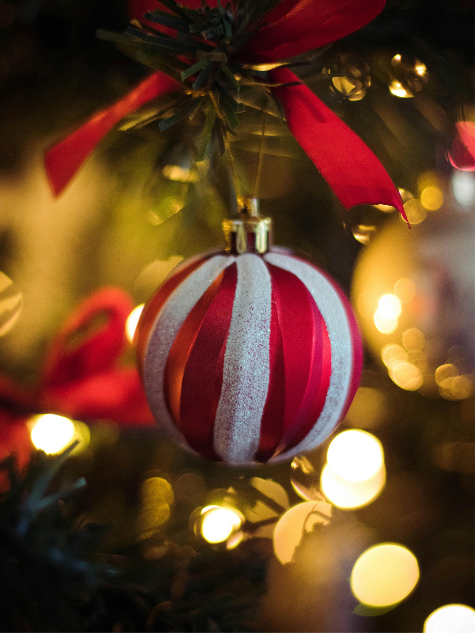 Frosted Pine Soy Candle: Fresh-Cut Pine, Fir Needle, Eucalyptus