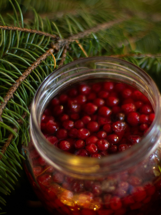 Cranberry Woods Rocks Glass Soy Candle: Cranberry, Fraser Fir, Vanilla