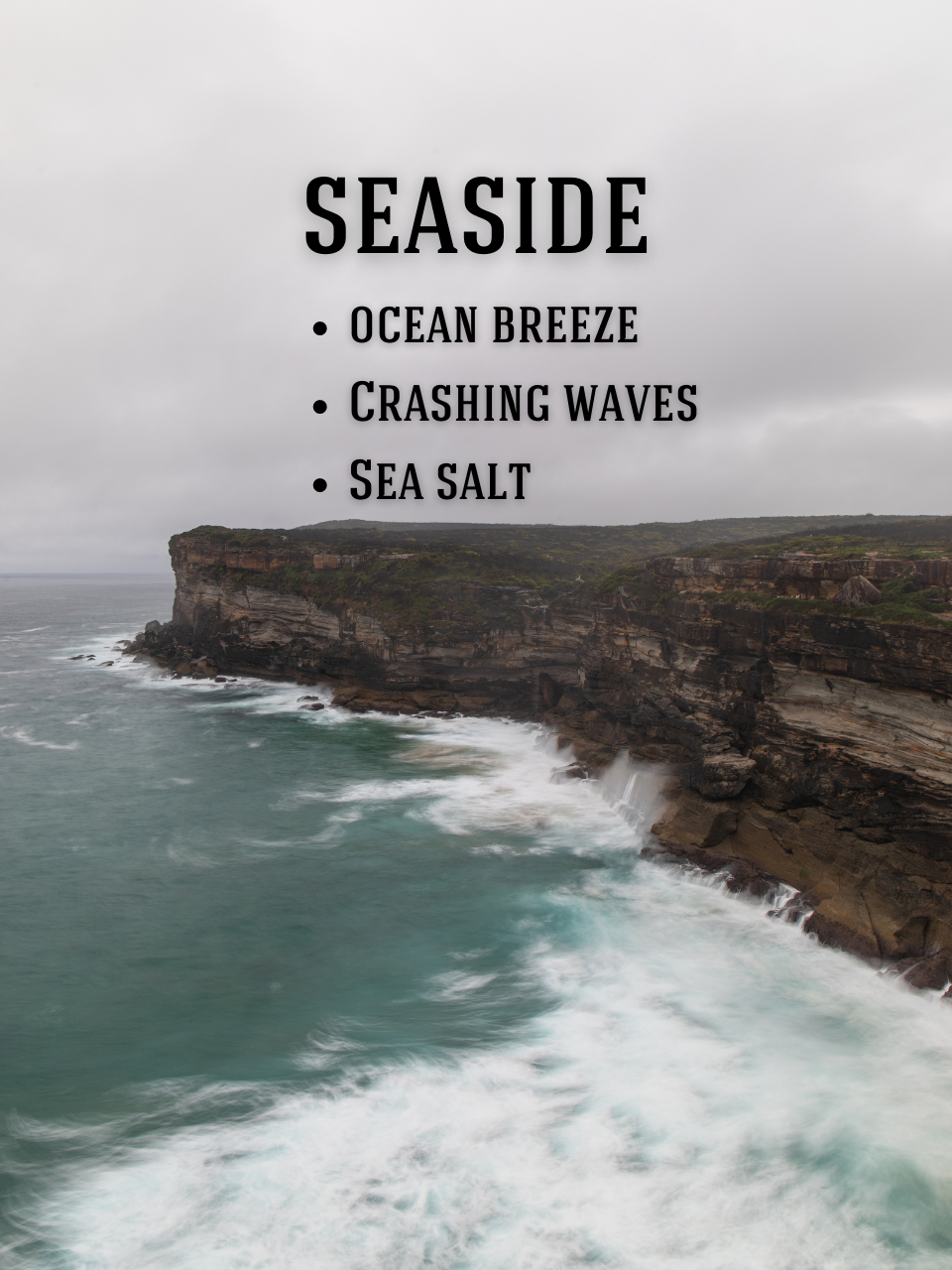 Seaside Soy Candle: Sea Salt, Crashing Waves, Eucalyptus