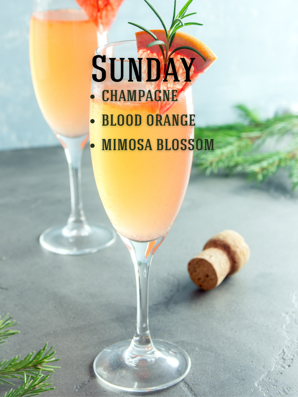 NEW! Sunday Soy Candle: Mandarin, Champagne, Jasmine